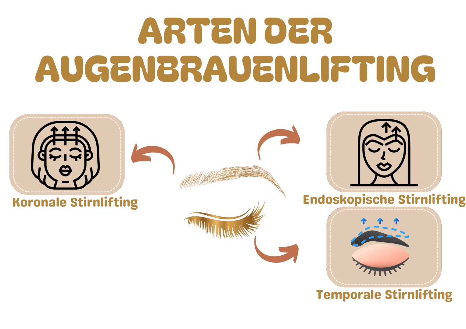 Arten der Augenbrauenlifting