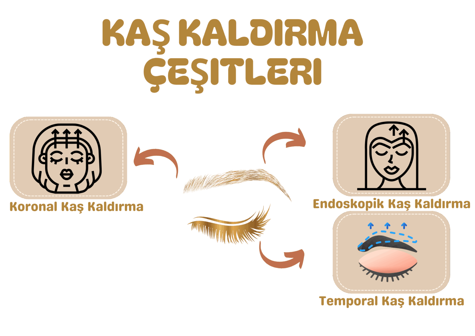 Kaş Kaldırma Çeşitleri 
