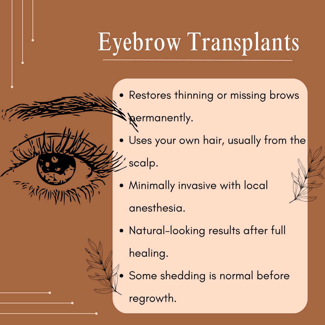 Eyebrow Transplants   