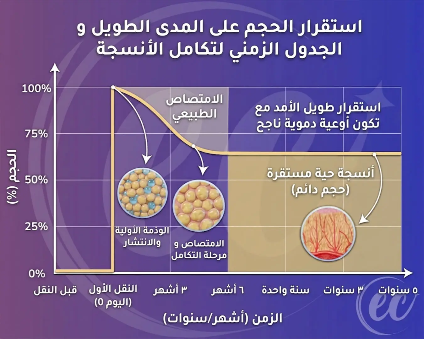 الجدول الزمني لاستقرار الحجم على المدى الطويل وتكامل الأنسجة