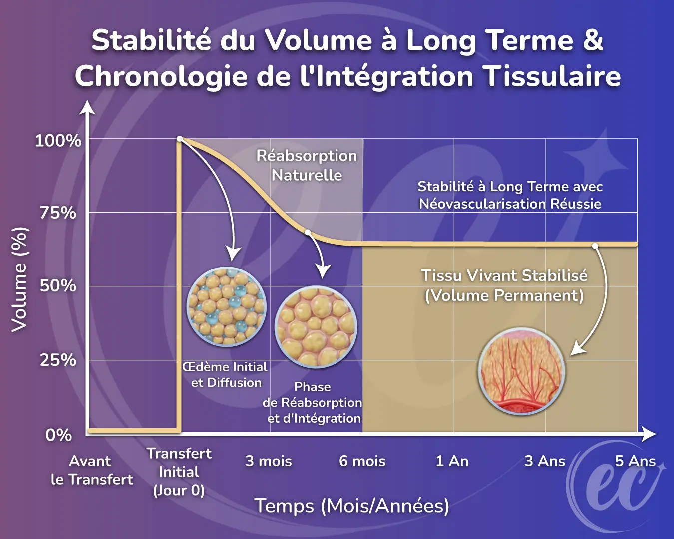 Calendrier de stabilité volumique et d'intégration tissulaire à long terme