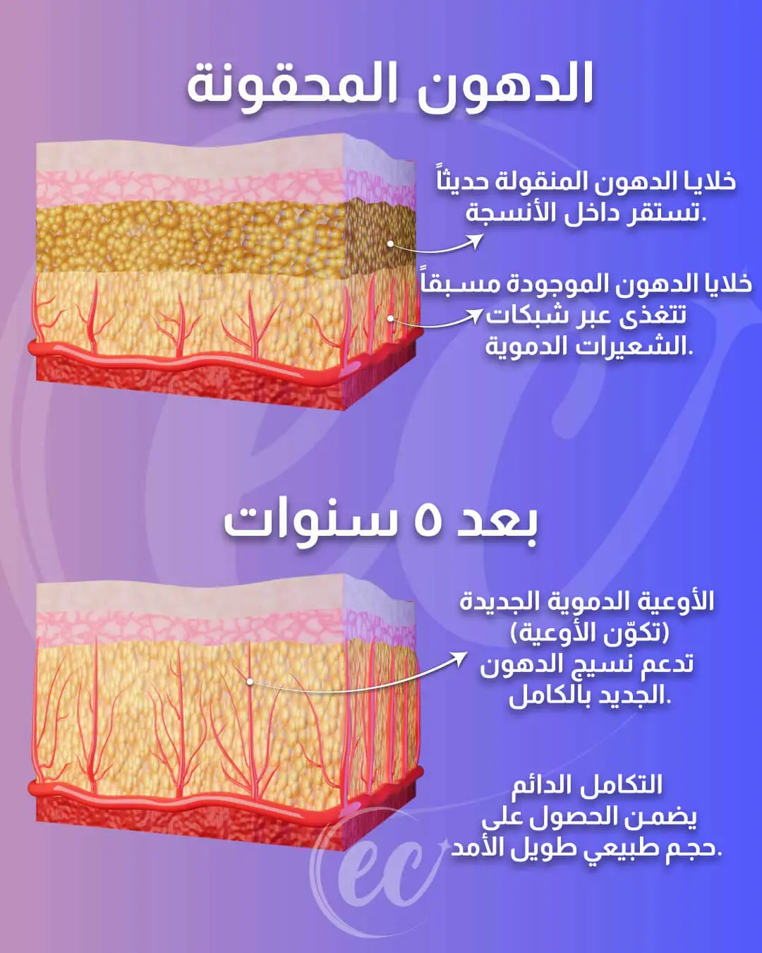 رسم بياني يوضح عدد الخلايا الدهنية الجديدة بعد خمس سنوات