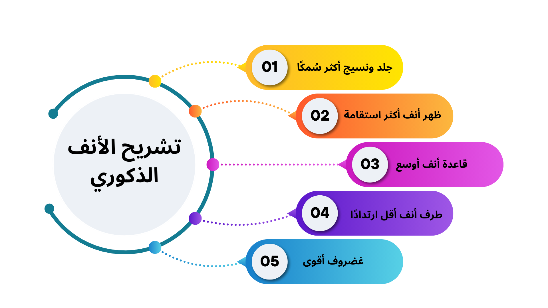 تشريح الأنف الذكوري